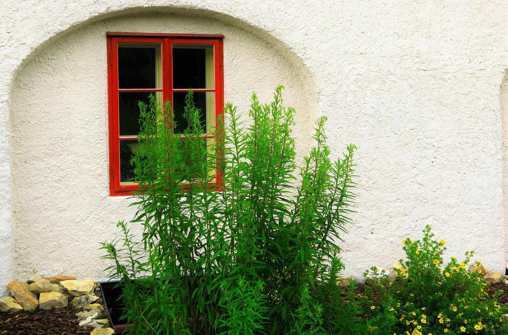 Garden Residence Prague Castle Экстерьер фото